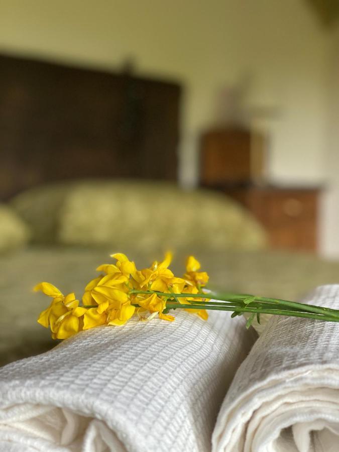Cascina Boschetto Bed and Breakfast Saliceto Exteriör bild