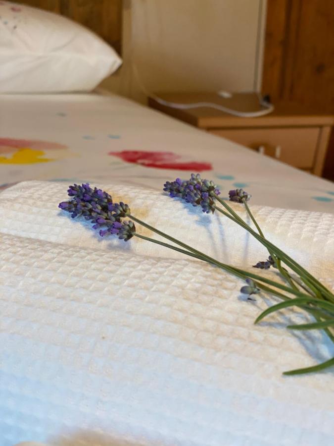Cascina Boschetto Bed and Breakfast Saliceto Exteriör bild