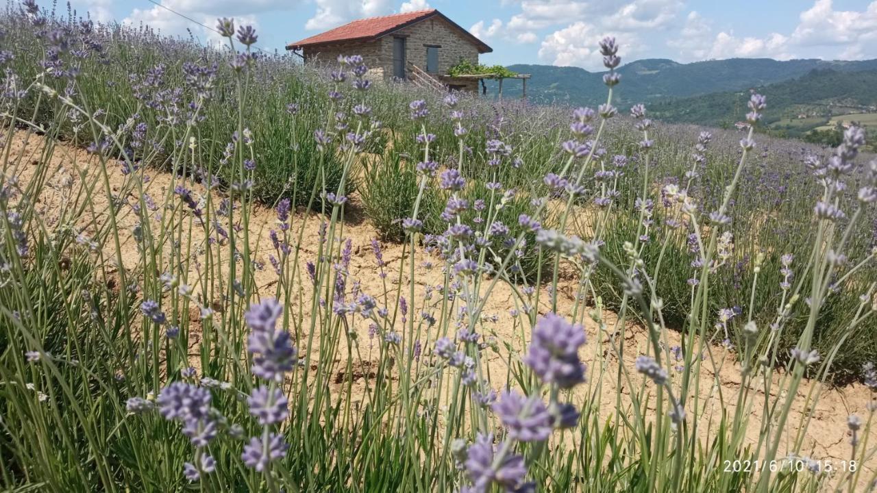 Cascina Boschetto Bed and Breakfast Saliceto Exteriör bild