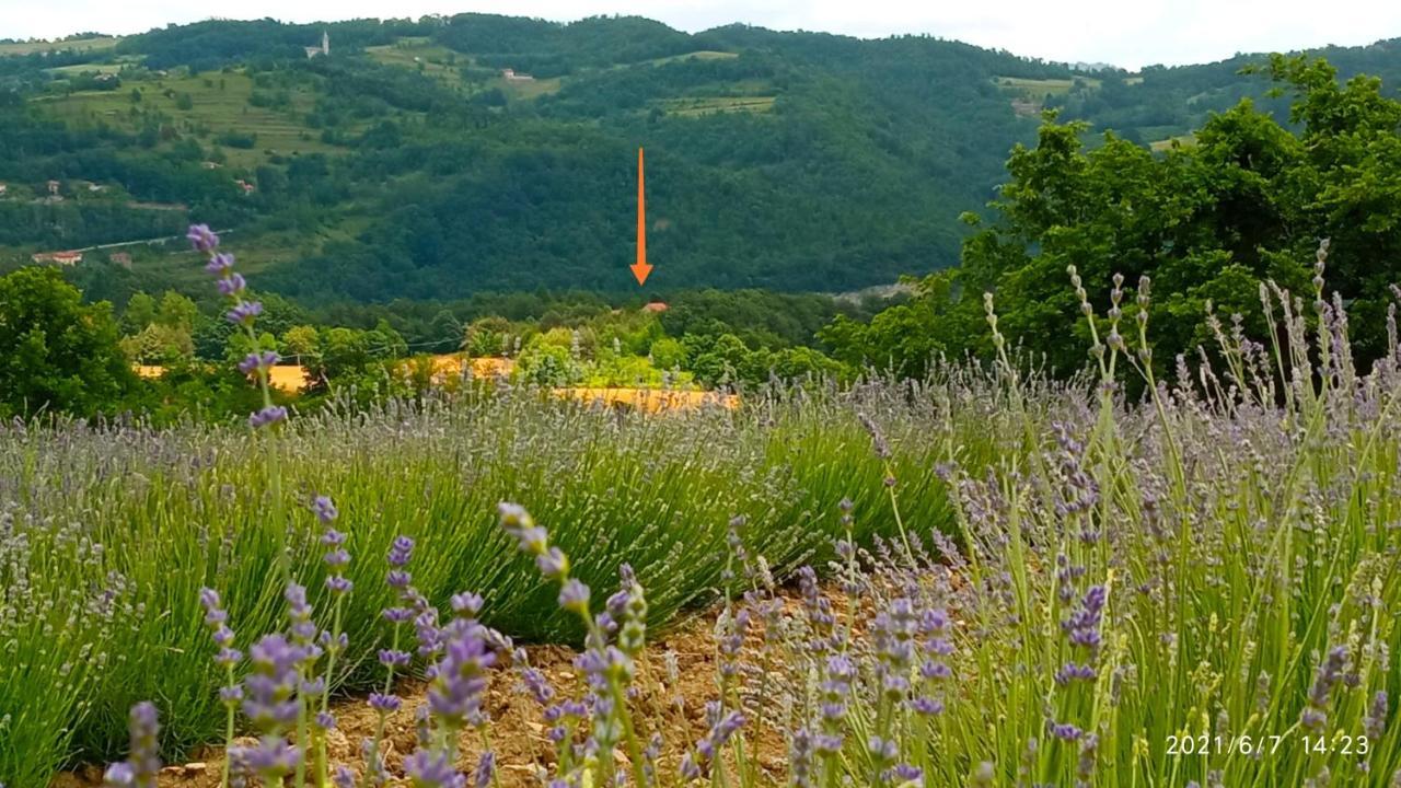 Cascina Boschetto Bed and Breakfast Saliceto Exteriör bild