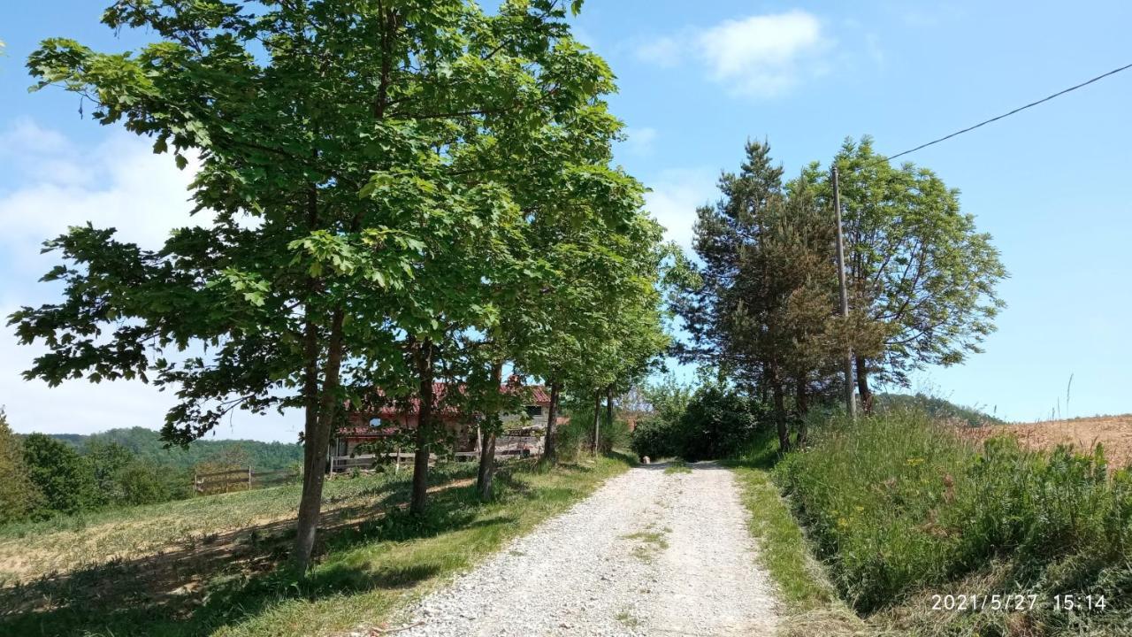 Cascina Boschetto Bed and Breakfast Saliceto Exteriör bild