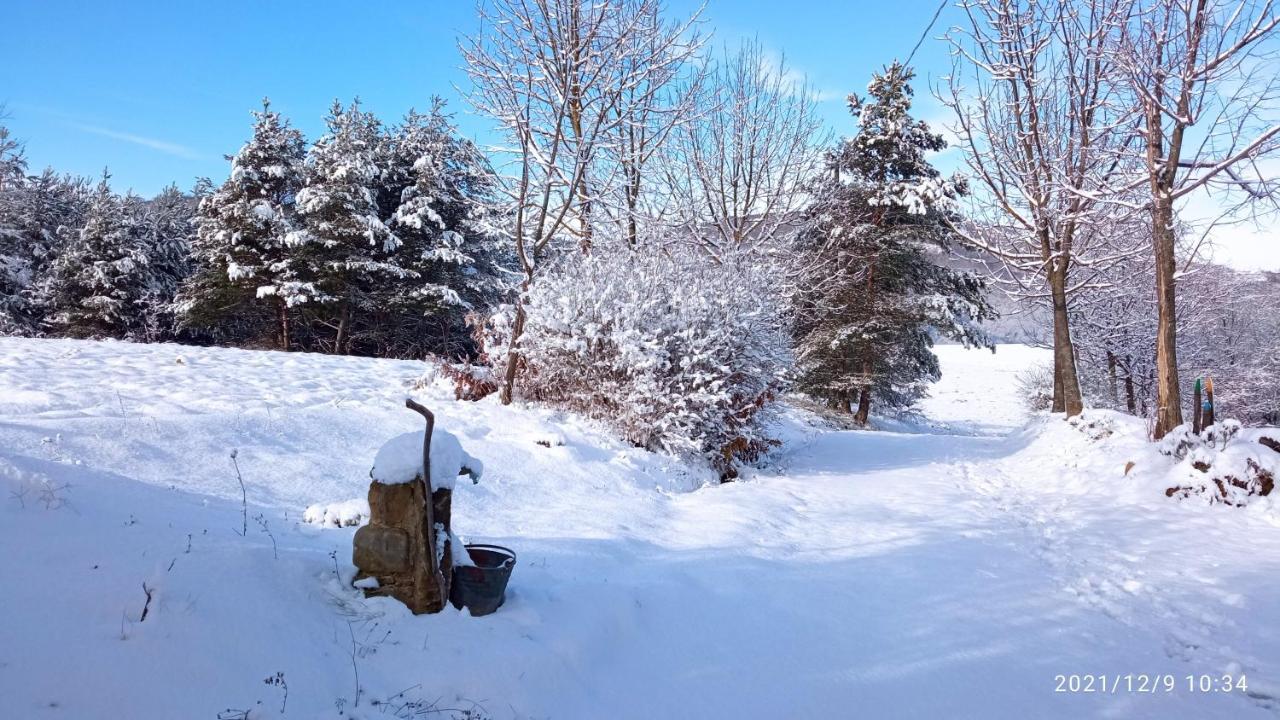 Cascina Boschetto Bed and Breakfast Saliceto Exteriör bild