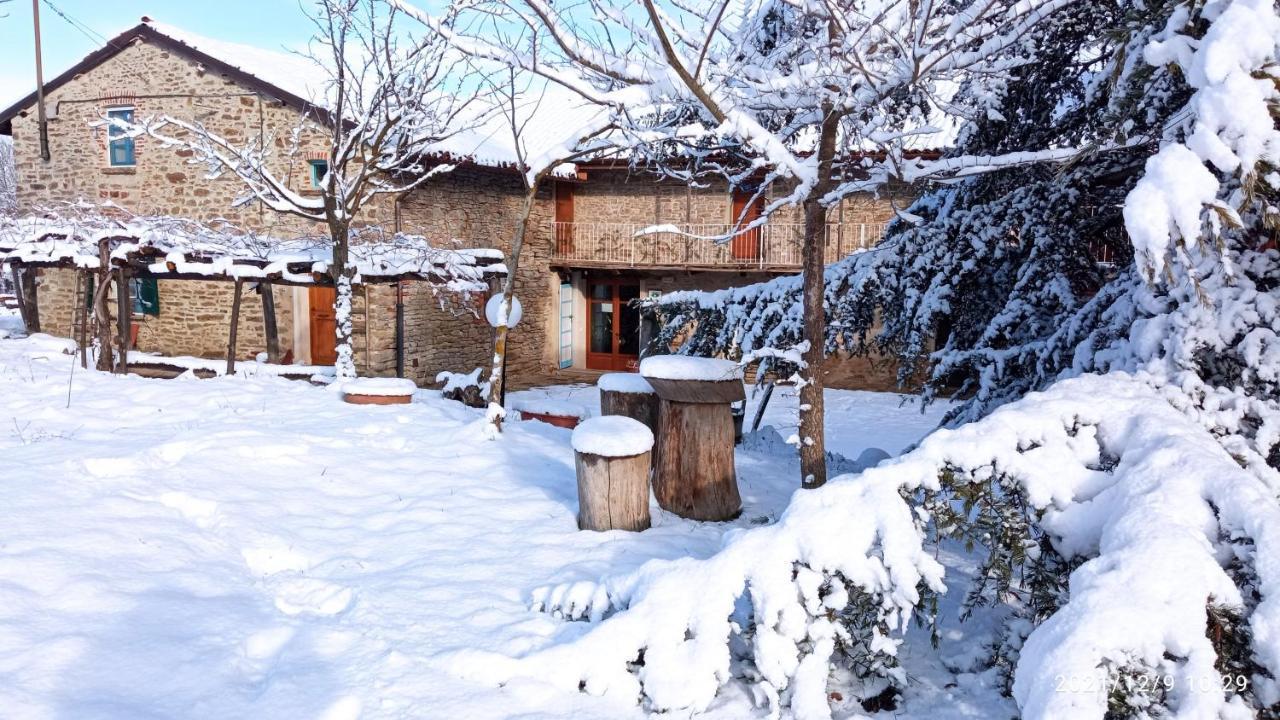 Cascina Boschetto Bed and Breakfast Saliceto Exteriör bild