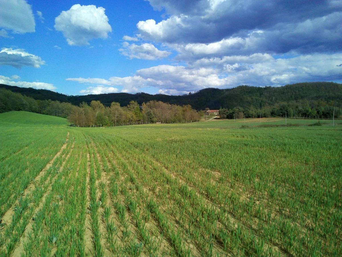 Cascina Boschetto Bed and Breakfast Saliceto Exteriör bild