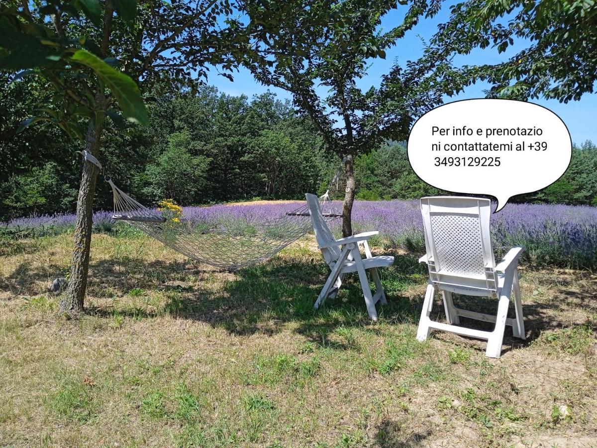 Cascina Boschetto Bed and Breakfast Saliceto Exteriör bild